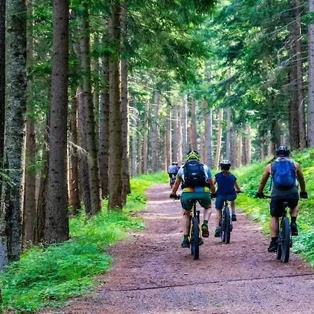 In Near Wicko & Jezierzany